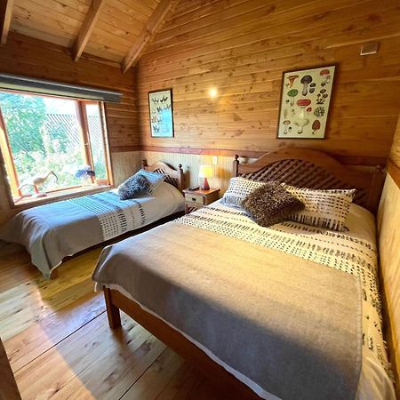 Hostal Pucon Sur المظهر الخارجي الصورة