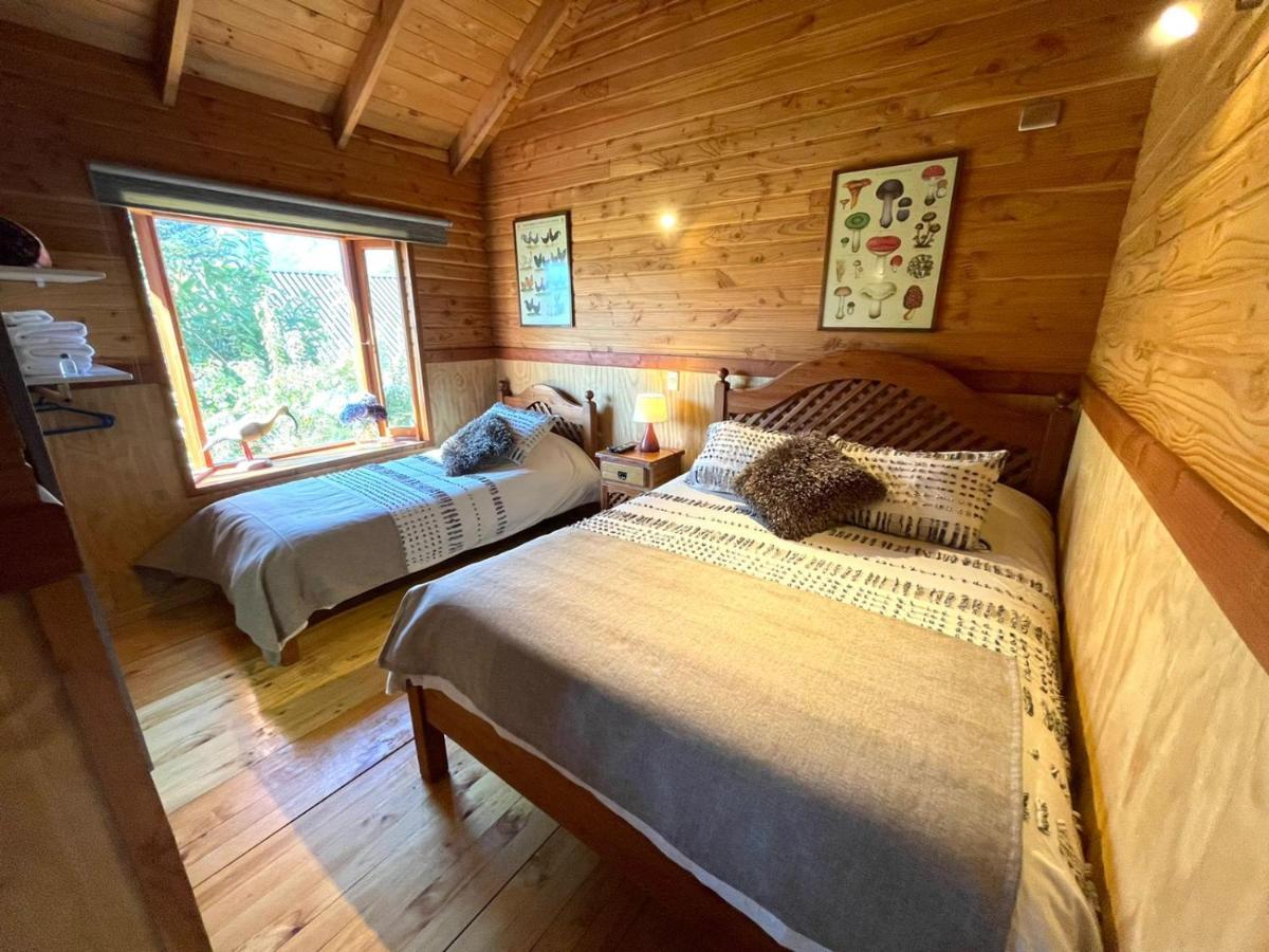 Hostal Pucon Sur المظهر الخارجي الصورة